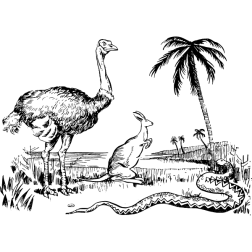 Australia I
