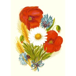 AutumnFlowers