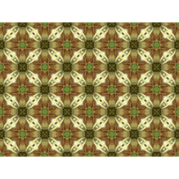 BackgroundPattern133