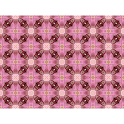 BackgroundPattern133Colour2