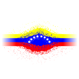 Bandera de Venezuela 03
