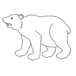 Bear 27