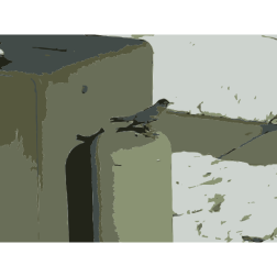 Bird Scene