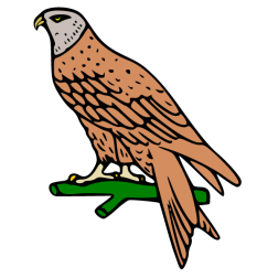 Bird 36
