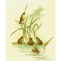 BirdWithFrogs