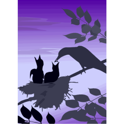 Birds3