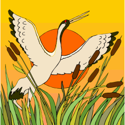 Birds6