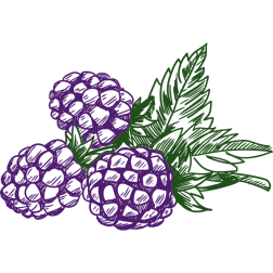 Blackberry2