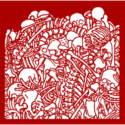 Bones II
