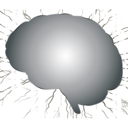Brain Storm 4 No Background