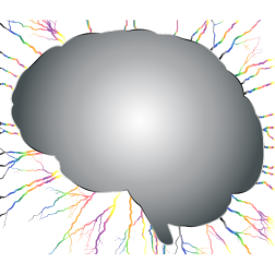 Brain Storm 5 No Background
