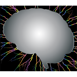 Brain Storm 5
