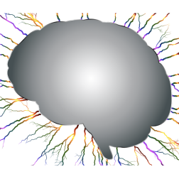 Brain Storm 6 No Background