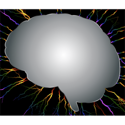 Brain Storm 6