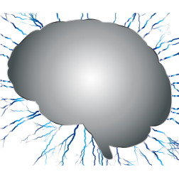 Brain Storm 7 No Background