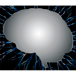 Brain Storm 7