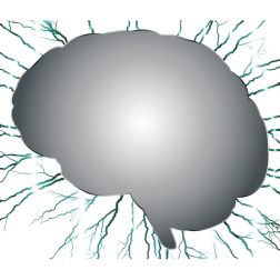 Human brain-1626247231