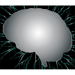 Brain Storm 8