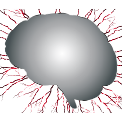 Brain Storm No Background