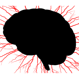 Brain storm-1626215401