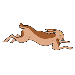Brave rabbit