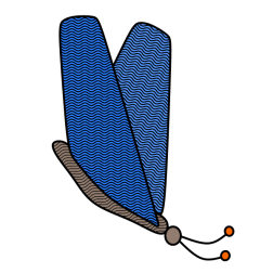 Butterfly III