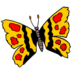 Butterfly VI