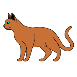 Cat 7