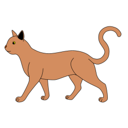 Cat 9