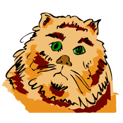 CatsLife1