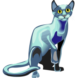 CatsLife12
