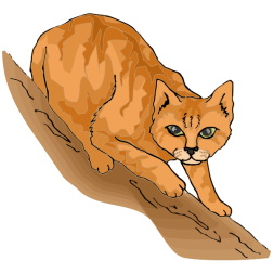 CatsLife8