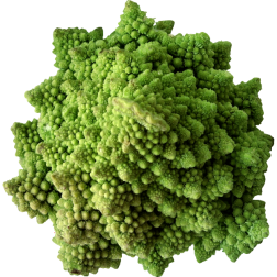 Cauliflower2