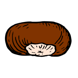Chestnut 2