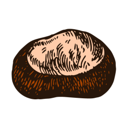 Chestnut 3
