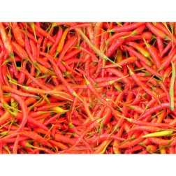 Chillis