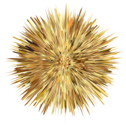Golden burst