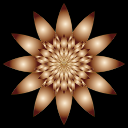 Chromatic flower-1631003176