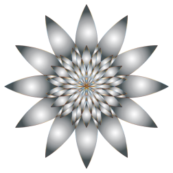Chromatic Flower 11 No Background