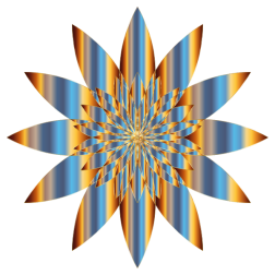 Chromatic Flower 12 No Background