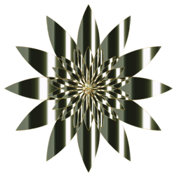 Chromatic Flower 13 No Background