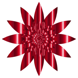 Chromatic flower-1631001191