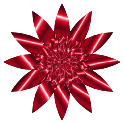 Chromatic Flower 14 Variation 2 No Background