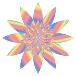 Chromatic Flower 15 No Background