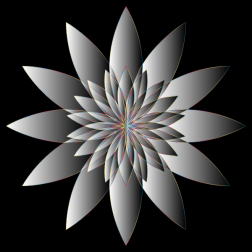 Chromatic Flower 16