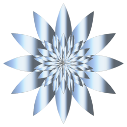 Chromatic Flower 17 No Background