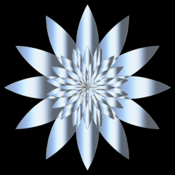Chromatic Flower 17