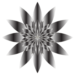 Chromatic Flower 18 No Background