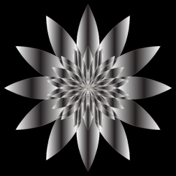 Chromatic Flower 18