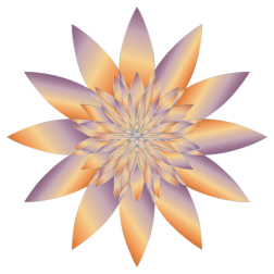Chromatic Flower 19 No Background